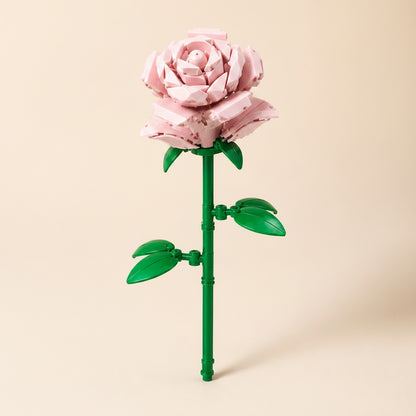 Flores CLASICAS