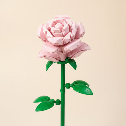 Flores CLASICAS