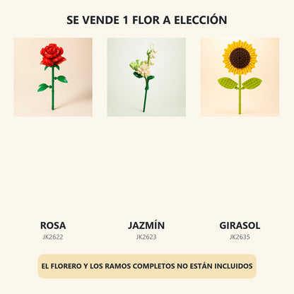 Flores CLASICAS